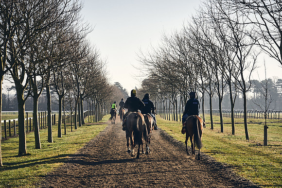 Southfield-Farm0Gallops-DJ-_DJ96331.ARW-0273