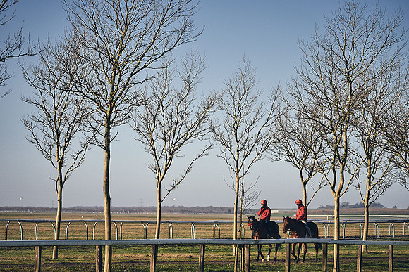 Southfield-Farm0Gallops-DJ-_DJ96292.ARW-0234