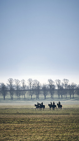Southfield-Farm0Gallops-DJ-_DJ97395.ARW-1337