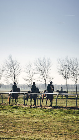 Southfield-Farm0Gallops-DJ-_DJ96975.ARW-0917