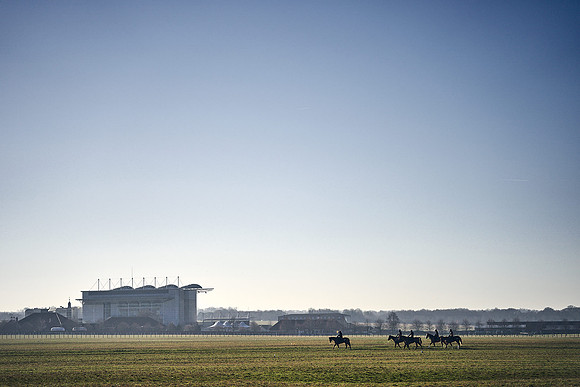 Southfield-Farm0Gallops-DJ-_DJ97323.ARW-1265