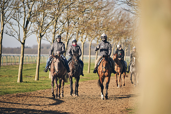 Southfield-Farm0Gallops-DJ-_DJ97274.ARW-1216