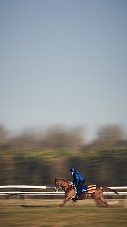 Southfield-Farm0Gallops-DJ-_DJ97371.ARW-1313