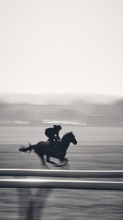 Southfield-Farm0Gallops-DJ-_DJ97421.ARW-1363
