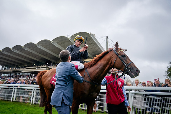 QGF2019_DominicJames-01062