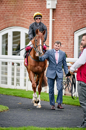 QGF2019_DominicJames-00947