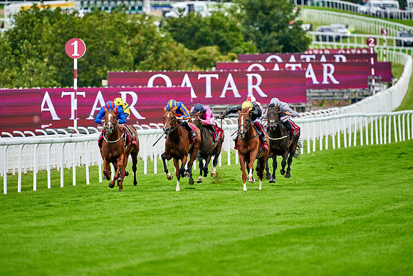 QGF2020_DominicJames-001949