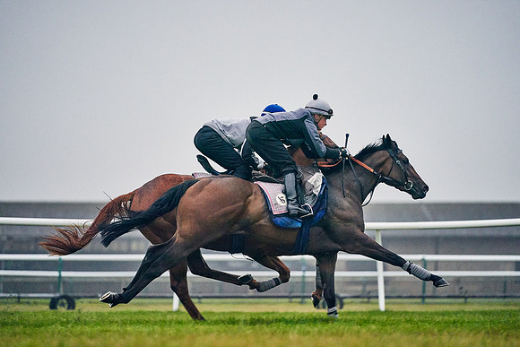14th-August-Dominic-James-03972