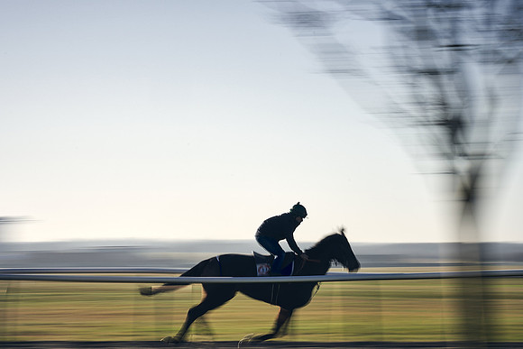 Southfield-Farm0Gallops-DJ-_DJ96302.ARW-0244