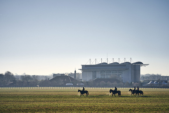 Southfield-Farm0Gallops-DJ-_DJ97340.ARW-1282