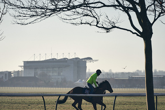 Southfield-Farm0Gallops-DJ-_DJ96188.ARW-0130