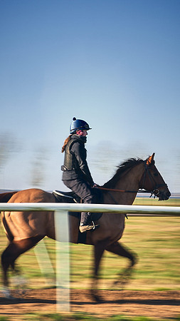 Southfield-Farm0Gallops-DJ-_DJ97225.ARW-1167