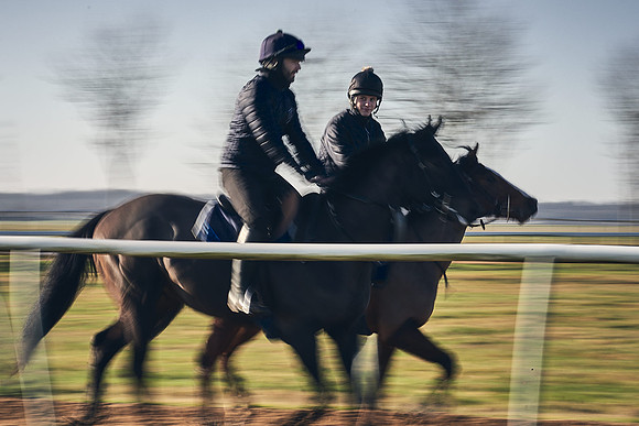 Southfield-Farm0Gallops-DJ-_DJ97179.ARW-1121