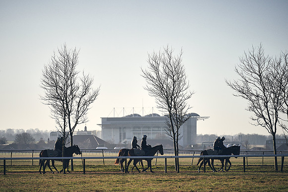 Southfield-Farm0Gallops-DJ-_DJ96496.ARW-0438