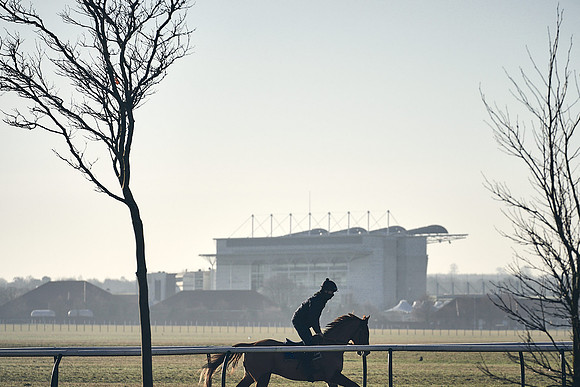 Southfield-Farm0Gallops-DJ-_DJ96147.ARW-0089
