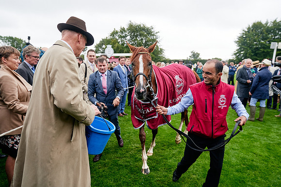 QGF2019_DominicJames-01263