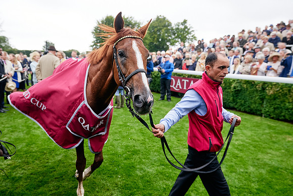 QGF2019_DominicJames-01281