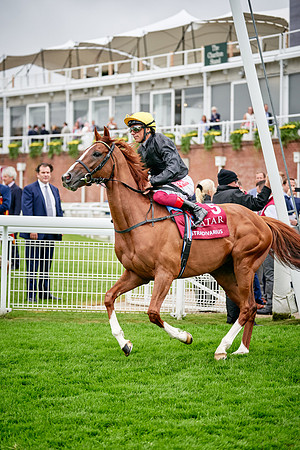 QGF2019_DominicJames-00953