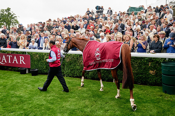 QGF2019_DominicJames-01286