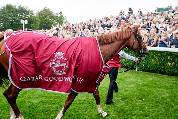 QGF2019_DominicJames-01269