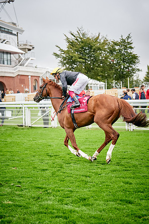 QGF2019_DominicJames-00960