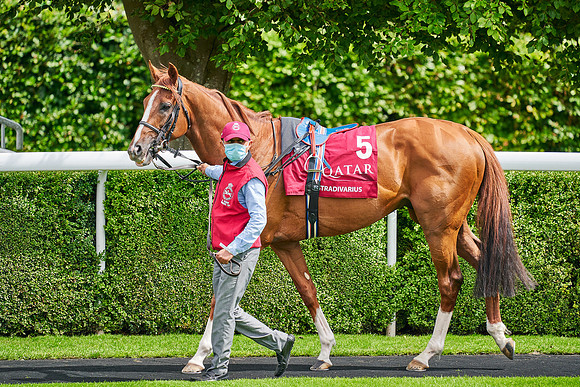 QGF2020_DominicJames-001604