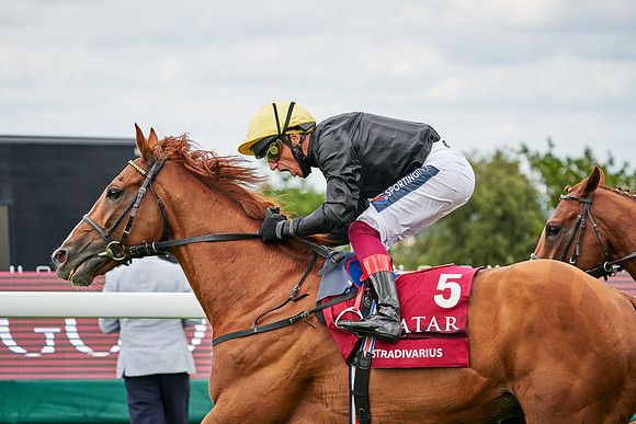 QGF2020_DominicJames-002046