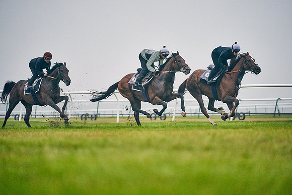 14th-August-Dominic-James-04031