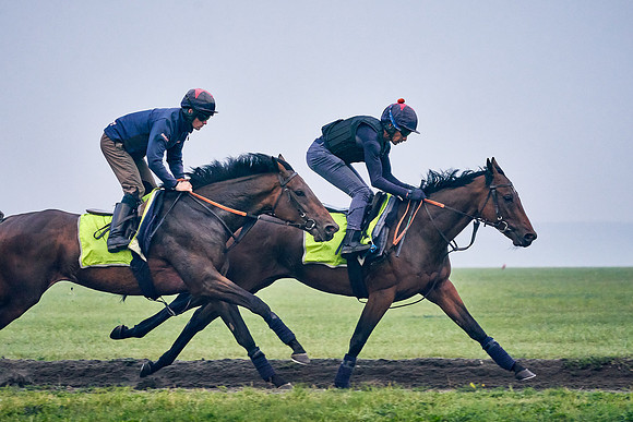 16th-Sept-Dominic-James-00773