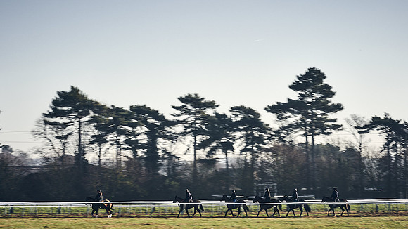 Southfield-Farm0Gallops-DJ-_DJ96463.ARW-0405