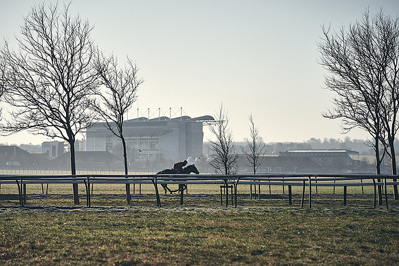 Southfield-Farm0Gallops-DJ-_DJ96088.ARW-0030