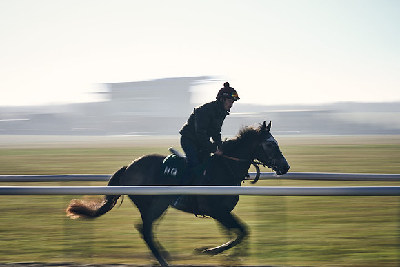 Southfield-Farm0Gallops-DJ-_DJ97470.ARW-1412
