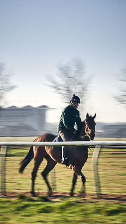 Southfield-Farm0Gallops-DJ-_DJ96717.ARW-0659