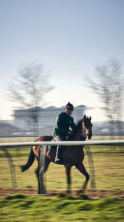 Southfield-Farm0Gallops-DJ-_DJ96714.ARW-0656