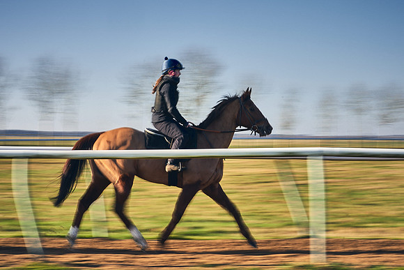 Southfield-Farm0Gallops-DJ-_DJ97221.ARW-1163