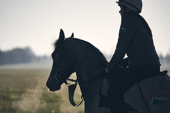 Southfield-Farm0Gallops-DJ-_DJ97286.ARW-1228