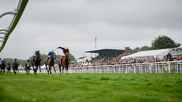 QGF2019_DominicJames-00979