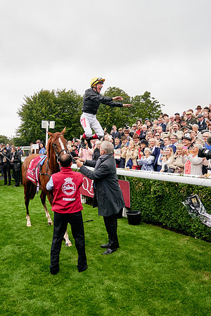QGF2019_DominicJames-01135