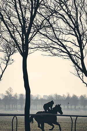 Southfield-Farm0Gallops-DJ-_DJ96159.ARW-0101