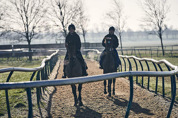Southfield-Farm0Gallops-DJ-_DJ96539.ARW-0481
