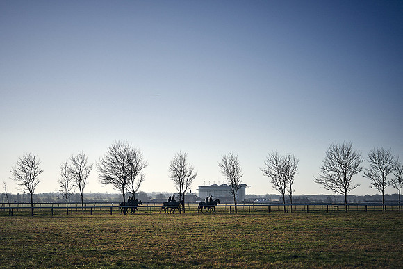 Southfield-Farm0Gallops-DJ-_DJ96491.ARW-0433