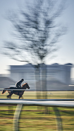 Southfield-Farm0Gallops-DJ-_DJ97205.ARW-1147