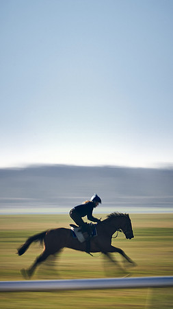 Southfield-Farm0Gallops-DJ-_DJ97413.ARW-1355