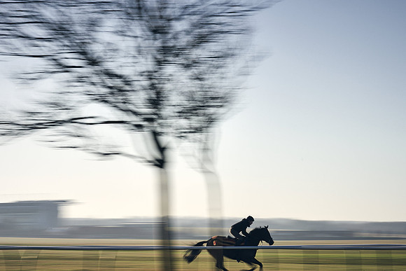 Southfield-Farm0Gallops-DJ-_DJ96246.ARW-0188