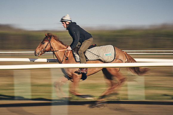 Southfield-Farm0Gallops-DJ-_DJ96652.ARW-0594
