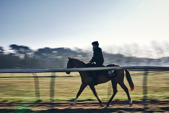 Southfield-Farm0Gallops-DJ-_DJ96679.ARW-0621