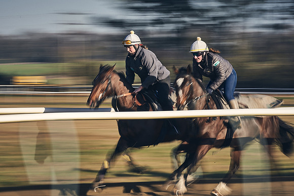 Southfield-Farm0Gallops-DJ-_DJ96610.ARW-0552