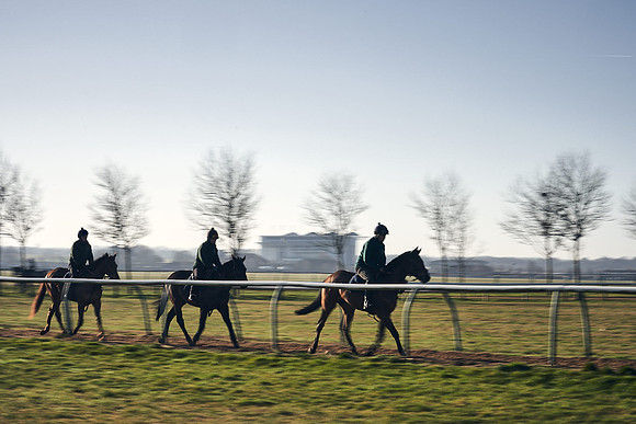 Southfield-Farm0Gallops-DJ-_DJ96998.ARW-0940