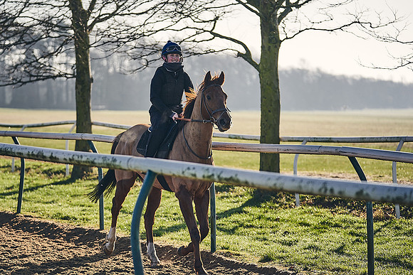 Southfield-Farm0Gallops-DJ-_DJ97246.ARW-1188