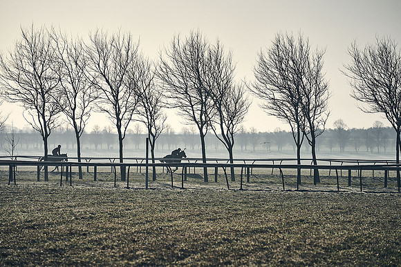 Southfield-Farm0Gallops-DJ-_DJ96066.ARW-0008